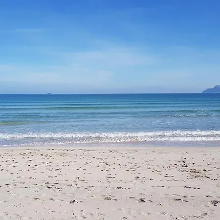 Ideal Mallorca - Canet * פורט ד'אלקודיה